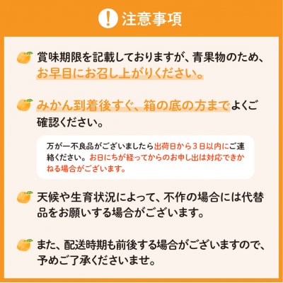 【2026年1月～発送】倉橋ミカン食べてクレ園 いしじみかん約5kg ku154-001-25