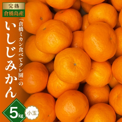 【2025年12月初旬～発送】倉橋ミカン食べてクレ園いしじみかん小玉約5kgku154-002-25