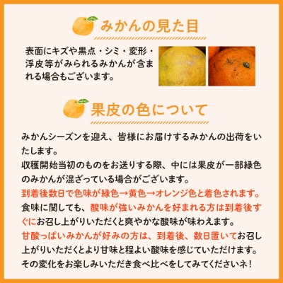 【2025年12月初旬～発送】倉橋ミカン食べてクレ園いしじみかん約2.5kgku154-007-25