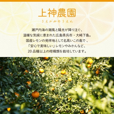 【2025年11月～発送】上神農園 家庭用 広島産 レモン 約2.5kg ku011-041-25