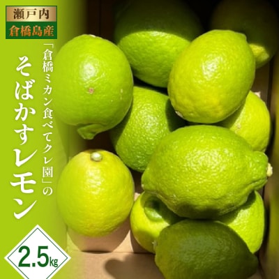 【2025年11月初旬～発送】瀬戸内特産 そばかすレモン 約2.5kg ku154-011-25