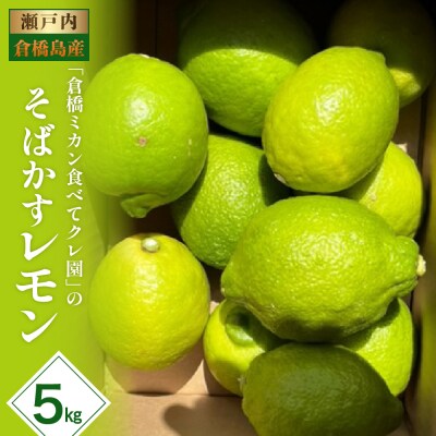 【2025年11月初旬～発送】瀬戸内特産 そばかすレモン 約5kg ku154-012-25