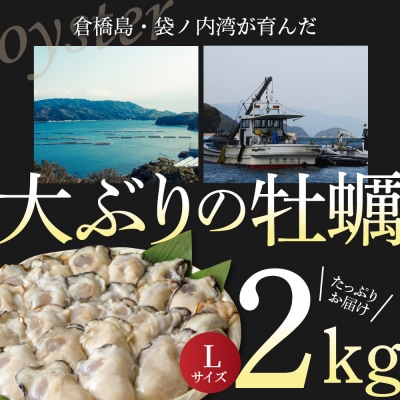 北吉水産 広島県産 冷凍 かき Lサイズ 2kg(1kg×2袋)ku004-008-r