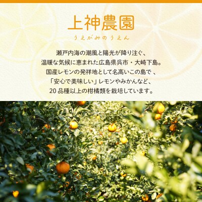 【2025年11月～発送】上神農園 ジュース用 レモン 約5kg ku011-042-25