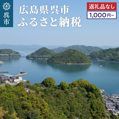 【返礼品なしの寄附】広島県呉市への寄附　返礼品無[1,000円～]　ku000-002-r
