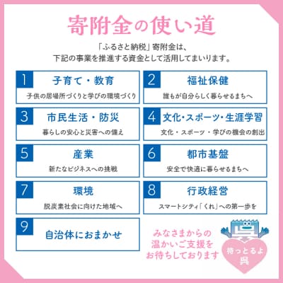 【返礼品なしの寄附】広島県呉市への寄附　返礼品無[1,000円～]　ku000-002-r