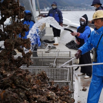 呉市養殖かき事業者支援寄附金　ku000-003-10-r
