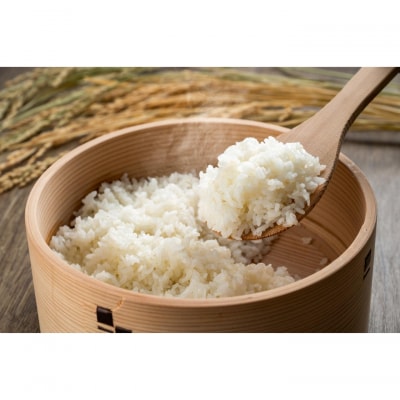 こしひかり 富士 5kg ku214-002-r