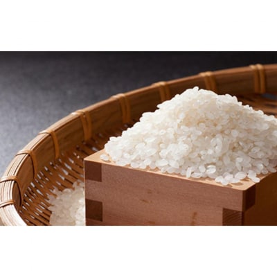 こしひかり 富士 5kg ku214-002-r