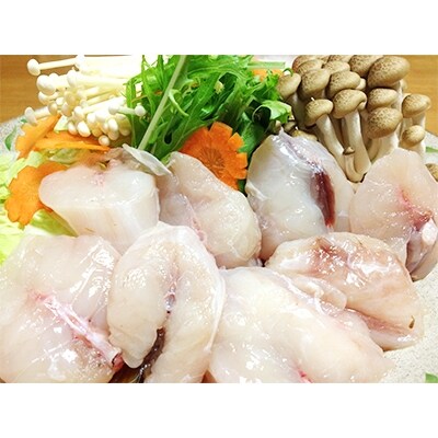 鍋用 天然さばふぐ1.2kg