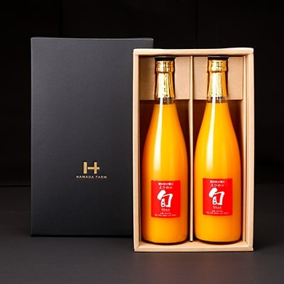 旬ブランド(清見タンゴール)ジュース2本つめ合せ【D19-4】