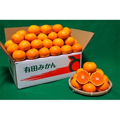 【まごころ手選別】和歌山の有田みかん5kg 2Lサイズ