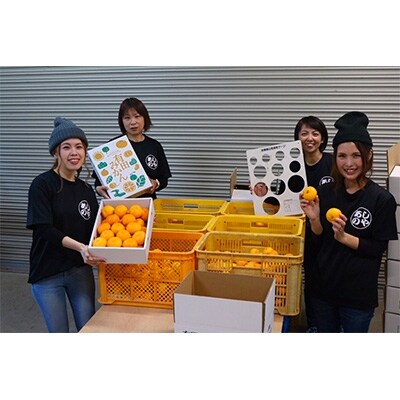 先行受付【まごころ手選別】和歌山の有田みかん化粧箱入り約5kgMサイズ