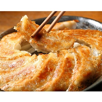 浜名湖うなぎ　長蒲焼3本+カット5食+刻みうなぎ5食+浜松餃子30粒