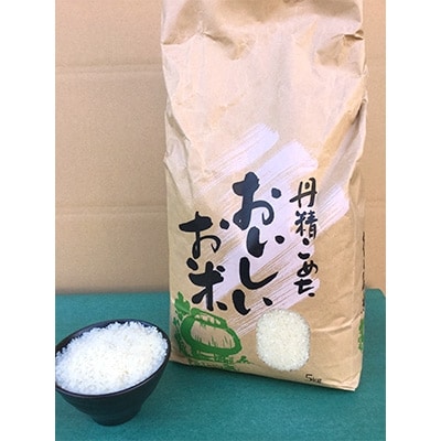 長崎県産　棚田天日掛け干し　にこまる5Kg　(令和4年産)