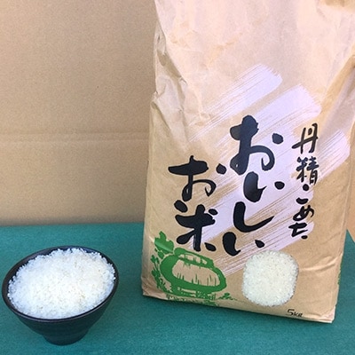 長崎県産　令和4年産棚田天日掛け干し　サイワイモチ精米5kg