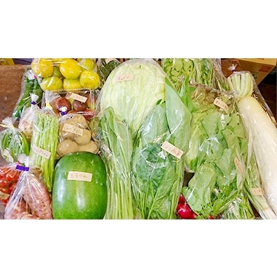長崎県産　大将お任せ 旬の野菜・果物　計10品以上詰め合わせ