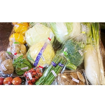 長崎県産　大将お任せ 旬の野菜・果物　計10品以上詰め合わせ