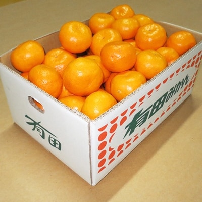 紀伊路屋　有田のみかん