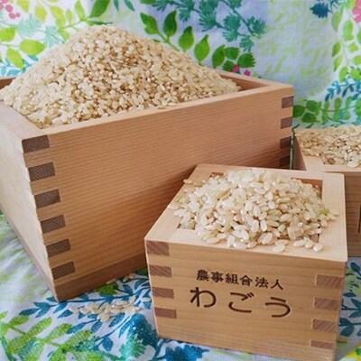 特別栽培米　ハツシモ　30kg(玄米)【限定30セット】