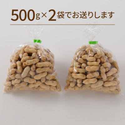 事前予約 やみつき極うま “金の生落花生” 1kg生ピーナッツ 塩ゆで専用　H105-116