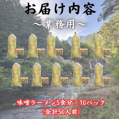 【訳あり】麺好き必見!老舗製麺所「平井屋」の業務用!!味噌ラーメン1袋5食分×10P(合計50食分)