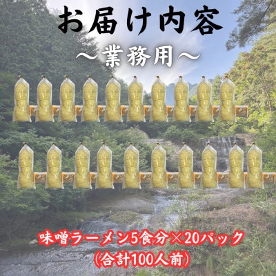 【訳あり】麺好き必見!老舗製麺所「平井屋」の業務用!味噌ラーメン1袋5食分×20P(合計100食分)