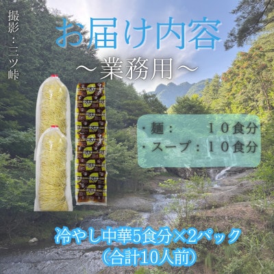 【訳あり】麺好き必見!老舗製麺所「平井屋」の業務用!!冷やし中華_1袋5食分×2P(合計10食分)