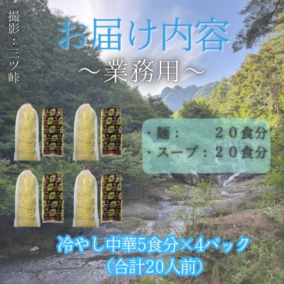 【訳あり】麺好き必見!老舗製麺所「平井屋」の業務用!!冷やし中華_1袋5食分×4P(合計20食分)