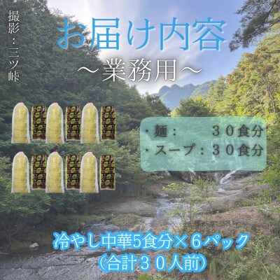 【訳あり】麺好き必見!老舗製麺所「平井屋」の業務用!!冷やし中華_1袋5食分×6P(合計30食分)