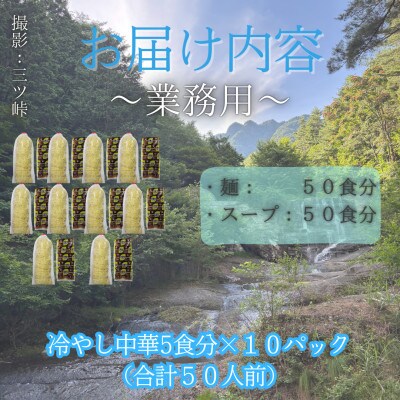 【訳あり】麺好き必見!老舗製麺所「平井屋」の業務用!冷やし中華_1袋5食分×10P(合計50食分)