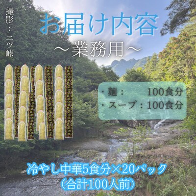 【訳あり】麺好き必見!老舗製麺所「平井屋」の業務用!冷やし中華_1袋5食分×20P(合計100食分)