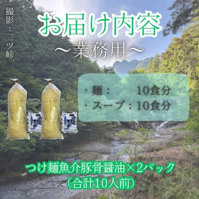 訳あり　麺好き必見!老舗製麺所の業務用つけ麺セット　1袋5食分×2パック(合計10食分)