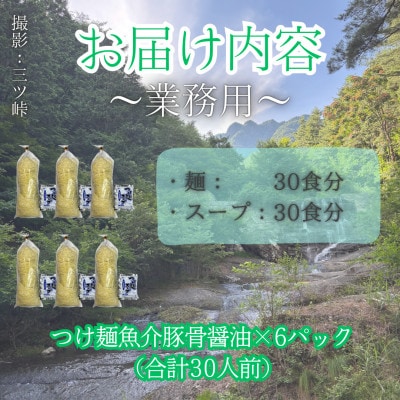 訳あり　麺好き必見!老舗製麺所の業務用つけ麺セット　1袋5食分×6パック(合計30食分)