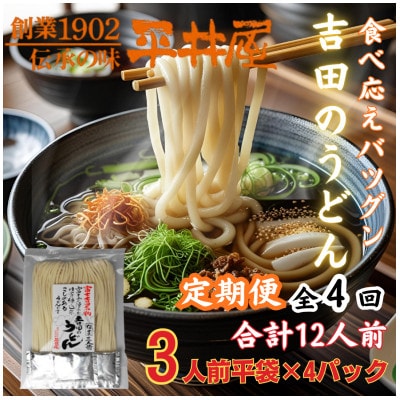 【3ヵ月毎定期便】【訳あり】「平井屋」の吉田のうどん3人前平袋×4P(合計12人前)全4回