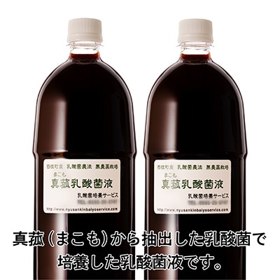 真菰(まこも)乳酸菌液 1.5L 2本セット