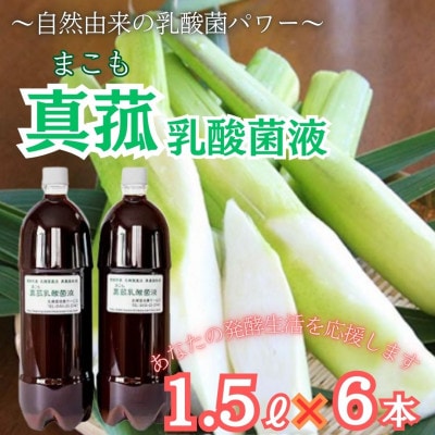 【発酵生活サポート】富士山麓の自然の恵み_真菰(まこも)乳酸菌液 1.5L ×6本セット