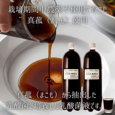 【発酵生活サポート】富士山麓の自然の恵み_真菰(まこも)乳酸菌液 1.5L ×6本セット