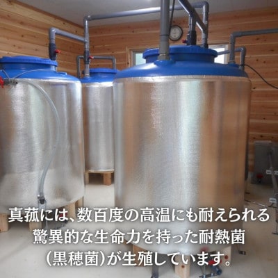 【毎月定期便】発酵生活サポート_富士山麓の自然の恵み_真菰(まこも)乳酸菌液 1.5L 2本全12回