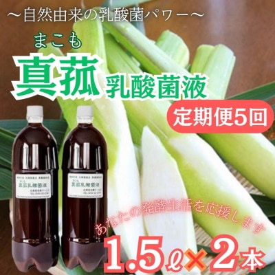 【2ヵ月毎定期便】発酵生活サポート_富士山麓の自然の恵み_真菰(まこも)乳酸菌液 1.5L2本全5回