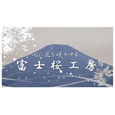 ネクタイ　富士桜工房　梨地無地　長春色