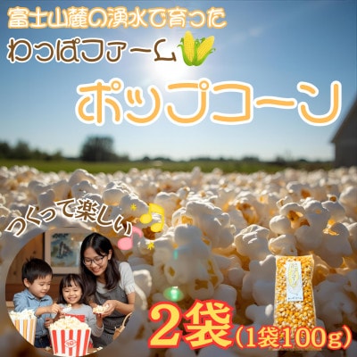 【訳あり】作って楽しい!食べておいしい!有機栽培で作ったこだわりのポップコーン2袋(1袋100g)