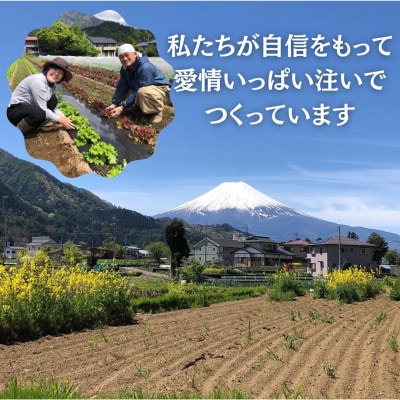 【訳あり】作って楽しい!食べておいしい!有機栽培で作ったこだわりのポップコーン2袋(1袋100g)