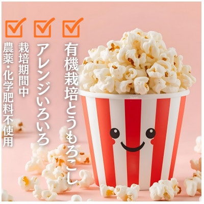 【訳あり】作って楽しい!食べておいしい!有機栽培で作ったこだわりのポップコーン4袋(1袋100g)
