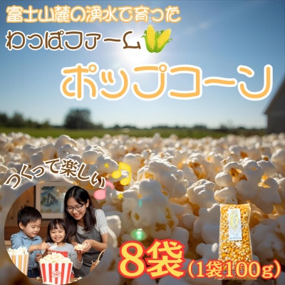 【訳あり】作って楽しい!食べておいしい!有機栽培で作ったこだわりのポップコーン8袋(1袋100g)