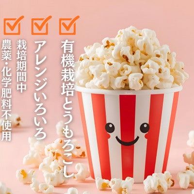 【訳あり】作って楽しい!食べておいしい!有機栽培で作ったこだわりのポップコーン8袋(1袋100g)