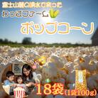 【訳あり】作って楽しい!食べておいしい!有機栽培で作ったこだわりのポップコーン18袋(1袋100g)