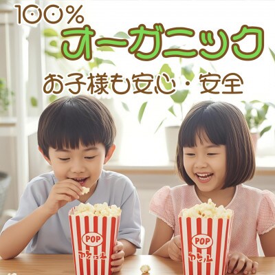 【訳あり】作って楽しい!食べておいしい!有機栽培で作ったこだわりのポップコーン18袋(1袋100g)