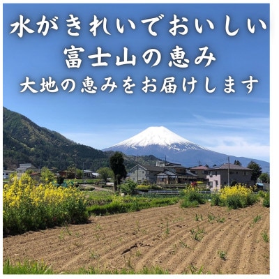 【発送月固定定期便】新鮮野菜!農家厳選の旬のお野菜セット約5～8種類を約3kg～5kg全2回