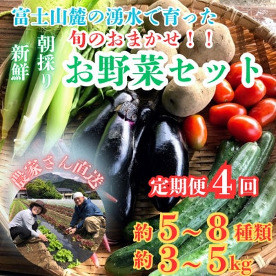 【発送月固定定期便】新鮮野菜!農家厳選の旬のお野菜セット約5～8種類を約3kg～5kg全4回